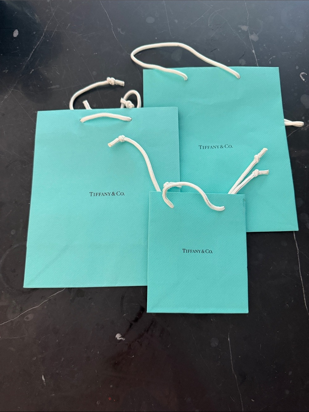 Tiffany & Co. Small to Medium Blue Gift Totes with White Rope Handles